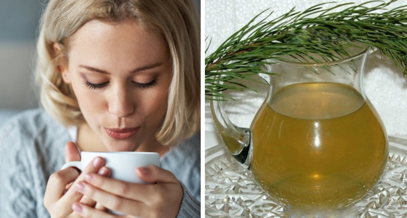 Отвар из сосновых почек для взрослых Отвар из сосновых почек для взрослых