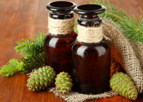 Чим корисна настоянка з ялинових шишок