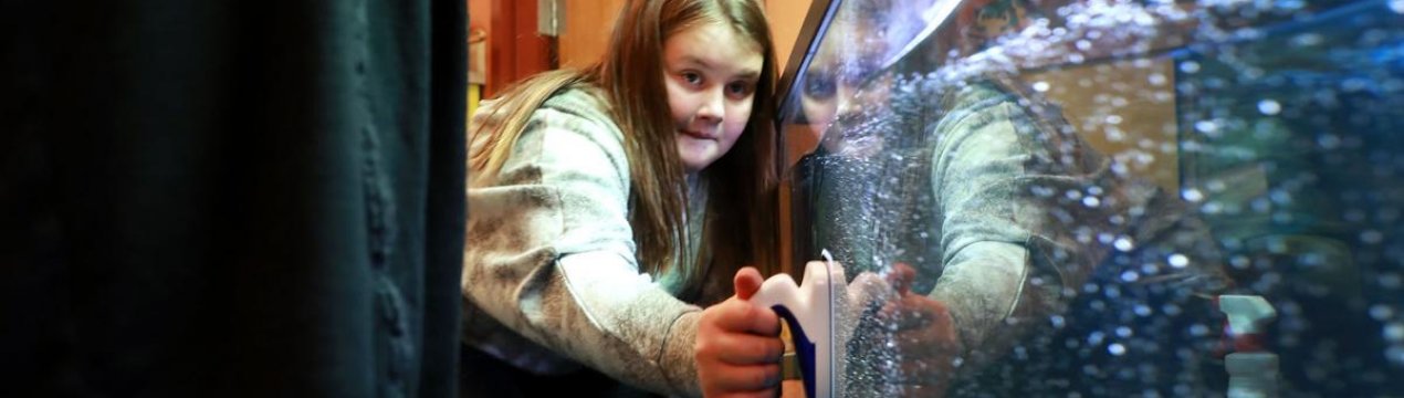 Школярі із США вивчають аквапонику на практиці