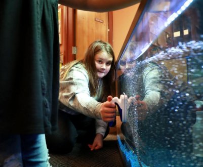 Школярі із США вивчають аквапонику на практиці