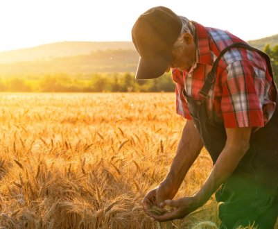 Фермери Нідерландів протестують проти екологічних вимог