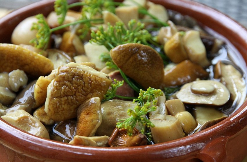 Найбільший виробник грибів у Сербії збільшує площі