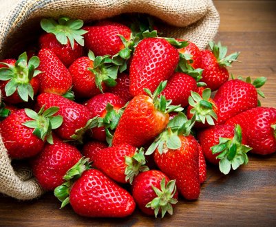 Трудове рабство Греції: збирачі полуниці живуть в нелюдських умовах і отримують мізерні гроші за роботу