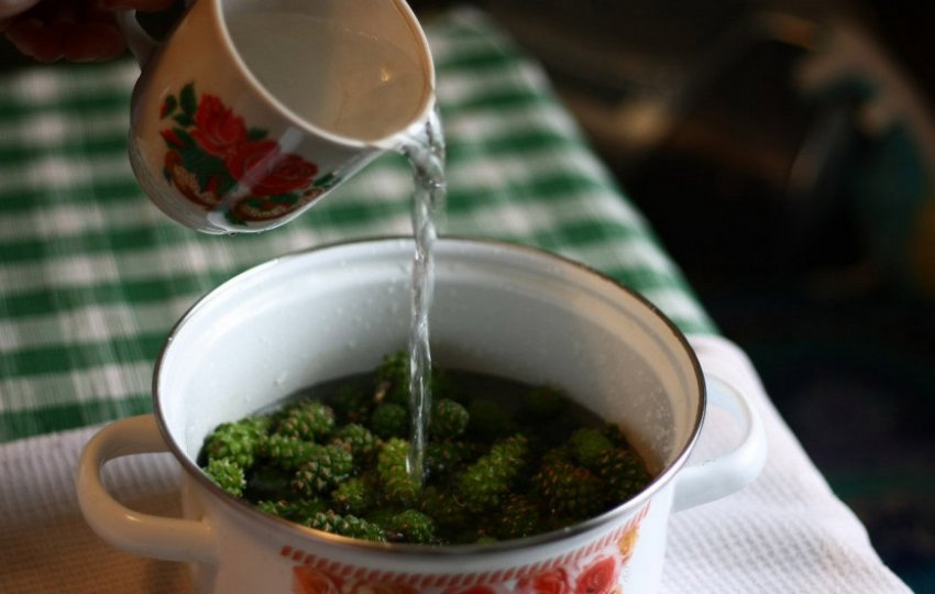 Приготування відвару з соснових шишок