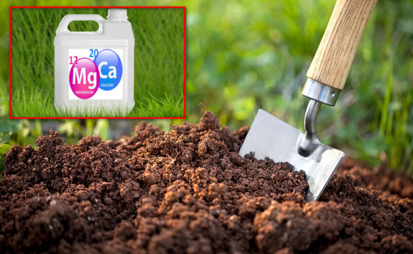 Внесення препаратів у грунт при білій смугастості