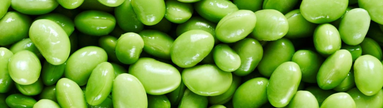 Вчені Амурської області вивели водостійкий сорт сої