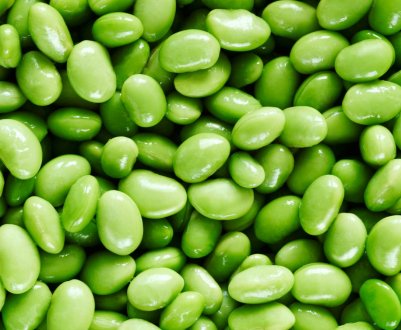 Вчені Амурської області вивели водостійкий сорт сої