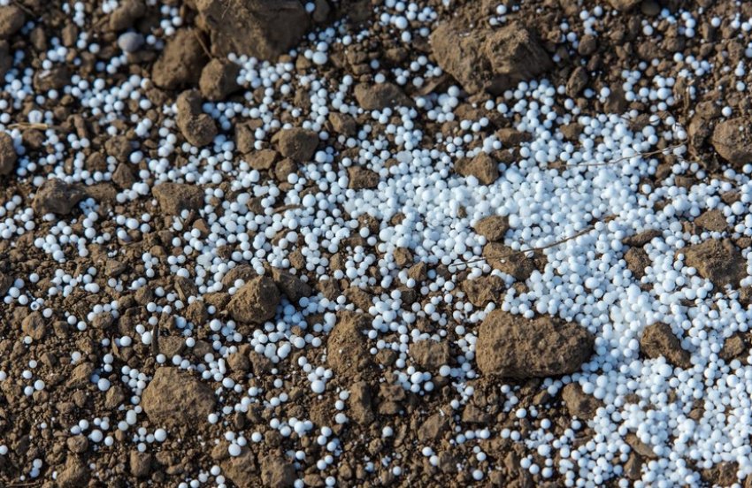 Мінеральні добрива