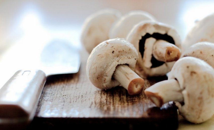 Свіжі печериці Свіжі печериці