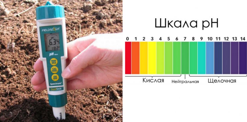 Визначення кислотності грунту