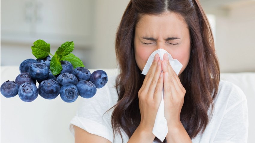 Настоянка з плодів чорниці при застуді Настоянка з плодів чорниці при застуді