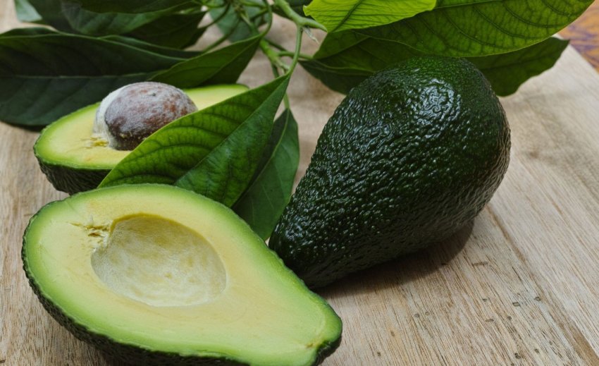 Мексиканські фермери сказали наркотикам: «Ні!»