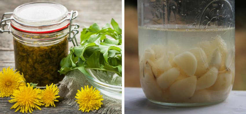 Настої для боротьби з комахами