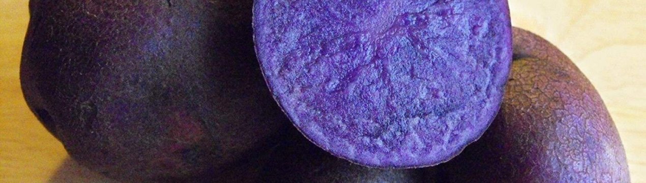 Синій картоплю вирощують на Філіппінах