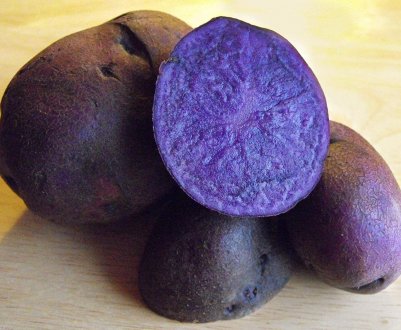 Синій картоплю вирощують на Філіппінах