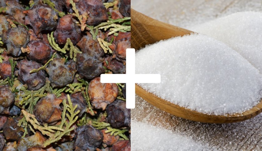 Приготовление варенья из туевых шишек