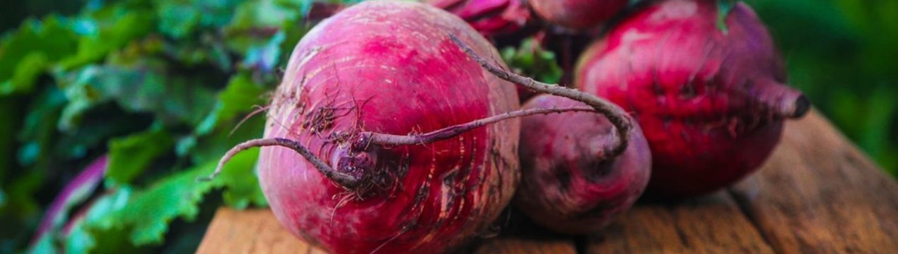 Як і де краще зберігати буряк в квартирі