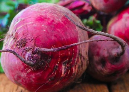 Як і де краще зберігати буряк в квартирі