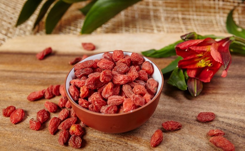 Найбільший центр оздоровлення саджанців будують в Тамбовської області Найбільший центр оздоровлення саджанців будують в Тамбовської області