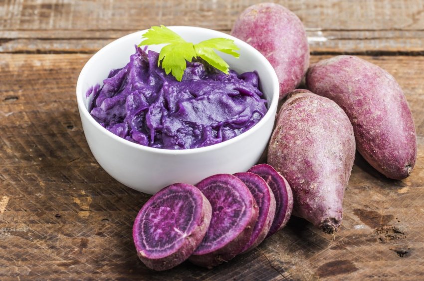 Синій картоплю вирощують на Філіппінах Синій картоплю вирощують на Філіппінах