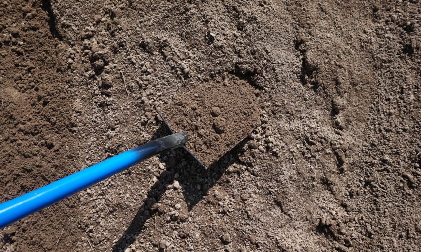 Суглинистий грунт Суглинистий грунт