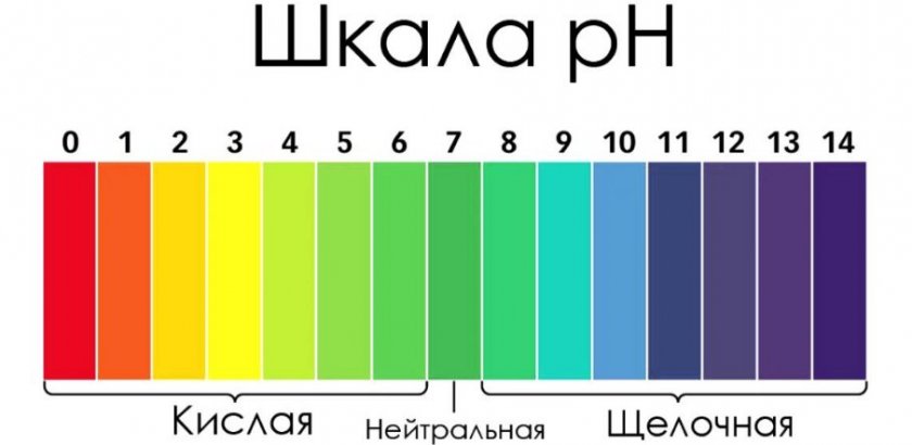 Шкала кислотности почвы Шкала кислотности почвы