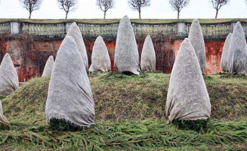 Укриття їли на зиму