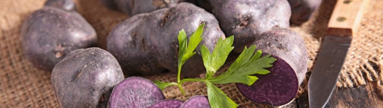 Картопля для діабетиків вивели в США