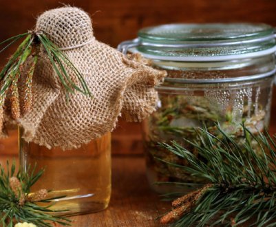 Відвар з соснових шишок: лікувальні властивості і від яких хвороб допомагає