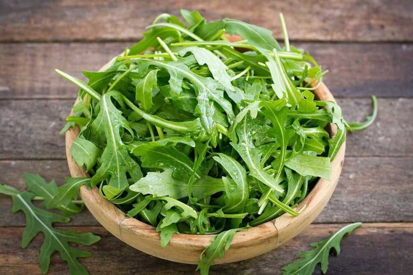 Американська компанія Element Farms відкриває теплицю площею 21 000 м2