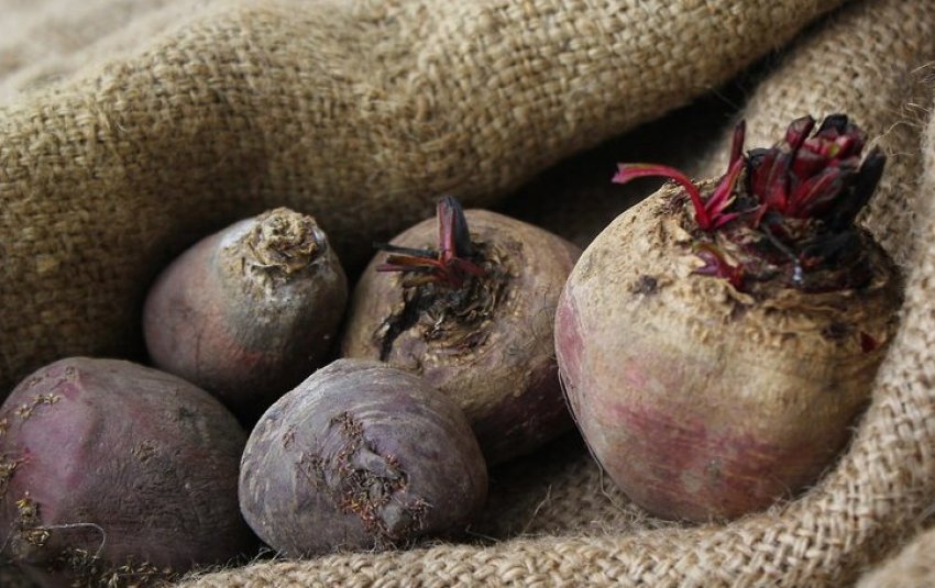 Збереження в коморі