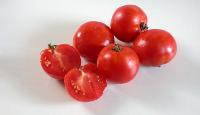 Томат «Маленький принц»