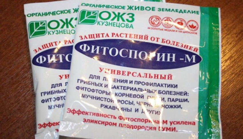 Препарат Фітоспорин