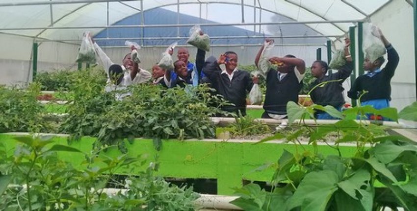 Південноафриканські школи вводять аквапонику в навчальні програми Південноафриканські школи вводять аквапонику в навчальні програми