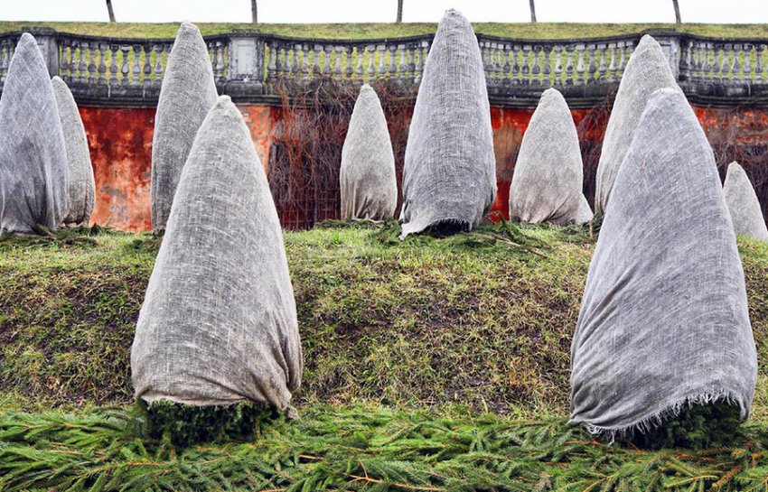 Укриття на зиму їли Укриття на зиму їли