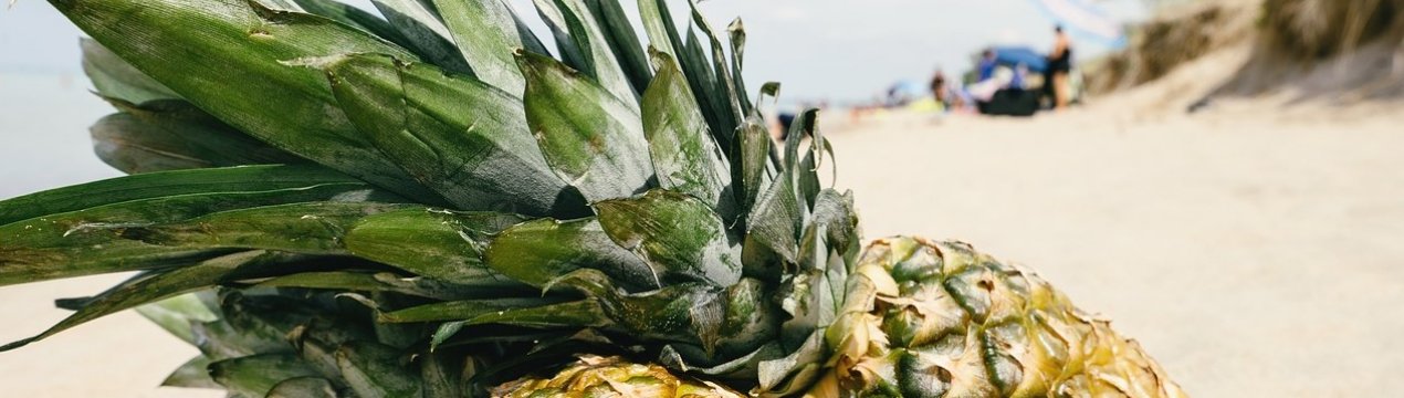 3 тисячі гектарів ананасів загинули від посухи в Мексиці