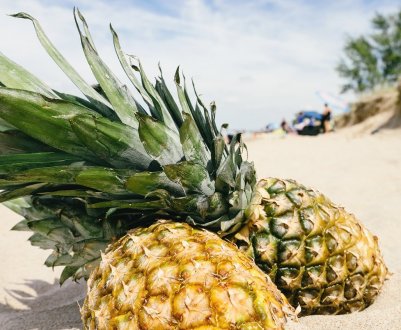 3 тисячі гектарів ананасів загинули від посухи в Мексиці