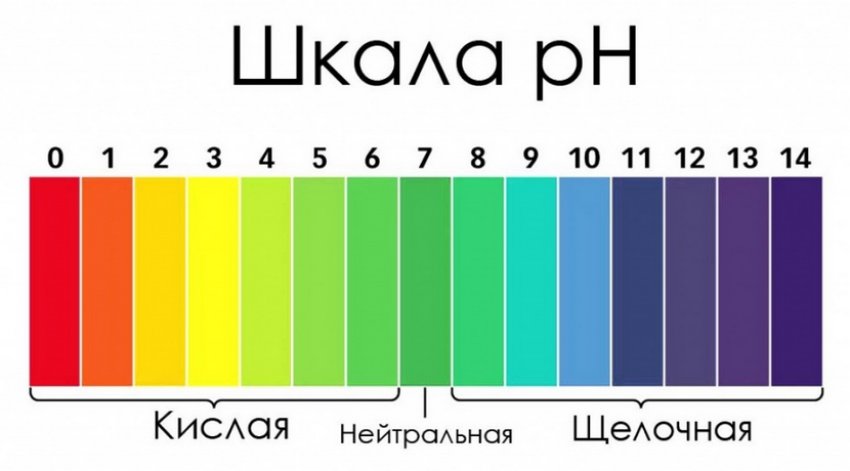Шкала кислотності