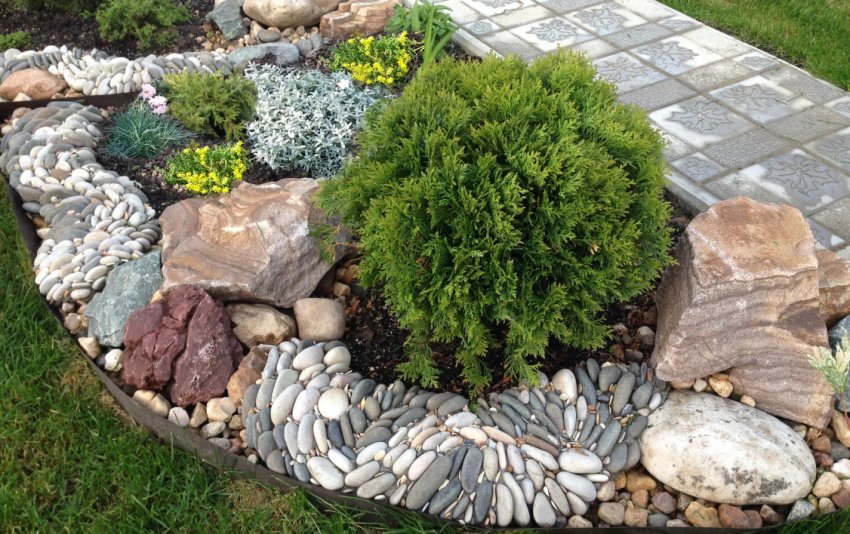 Туя Столвик в ландшафном дизайні