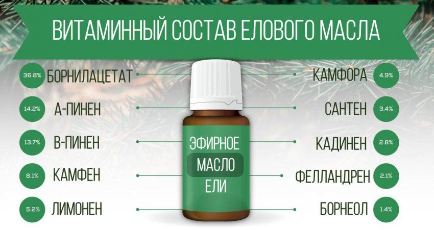 Как сделать еловое масло. Смотреть фото Как сделать еловое масло. Смотреть картинку Как сделать еловое масло. Картинка про Как сделать еловое масло. Фото Как сделать еловое масло