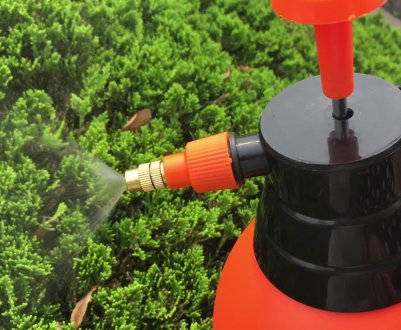 Як якісно поливати ту