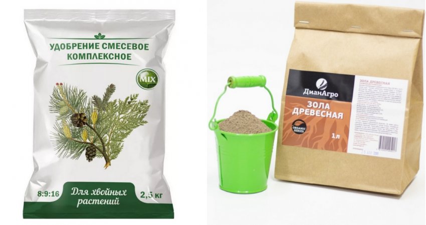 Підгодівля для сосни