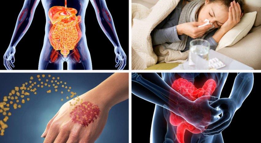 Показання до вживання обліпихи в різних країнах