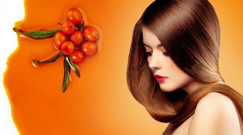 Користь обліпихи для волосся