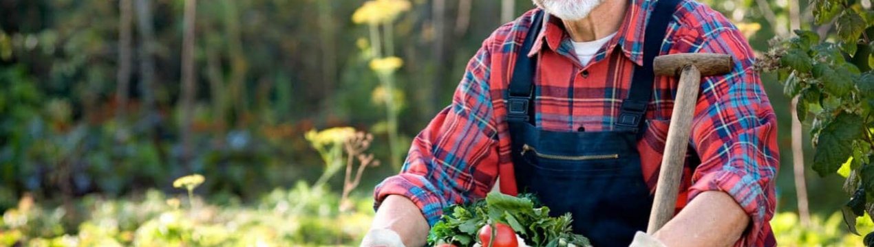 Україна може залишитися без фермерів