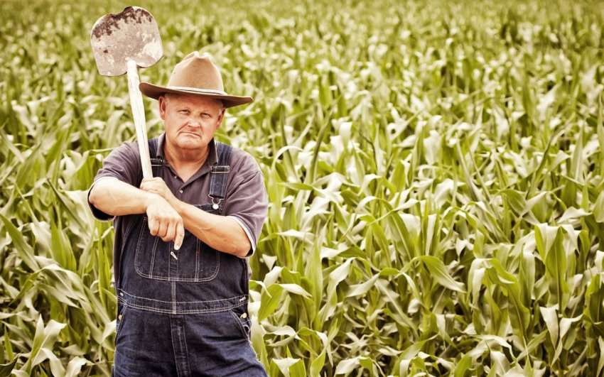 Україна може залишитися без фермерів Україна може залишитися без фермерів