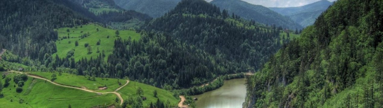 Зайнятість у сільському господарстві Сербії неухильно знижується