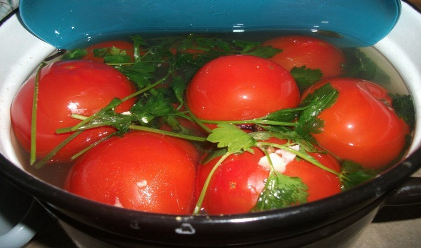 Малосольні помідори