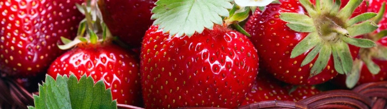 Фіолетову полуницю з китайських насіння вирощують у Туреччині