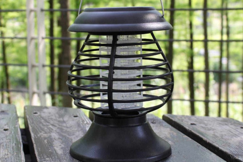 Світлова пастка для комах